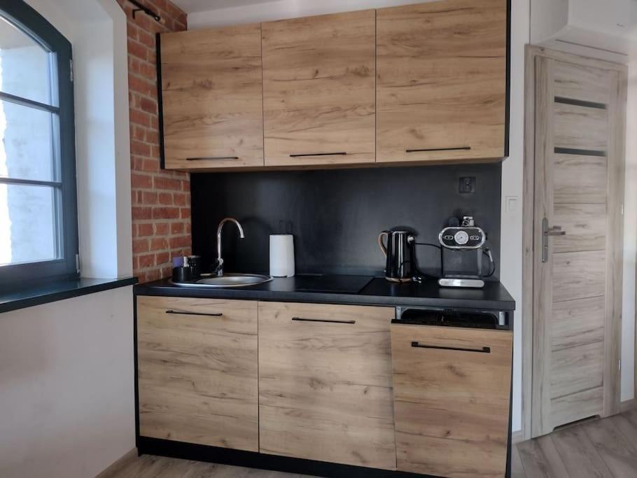 Apartament 13 Starowka Miodova